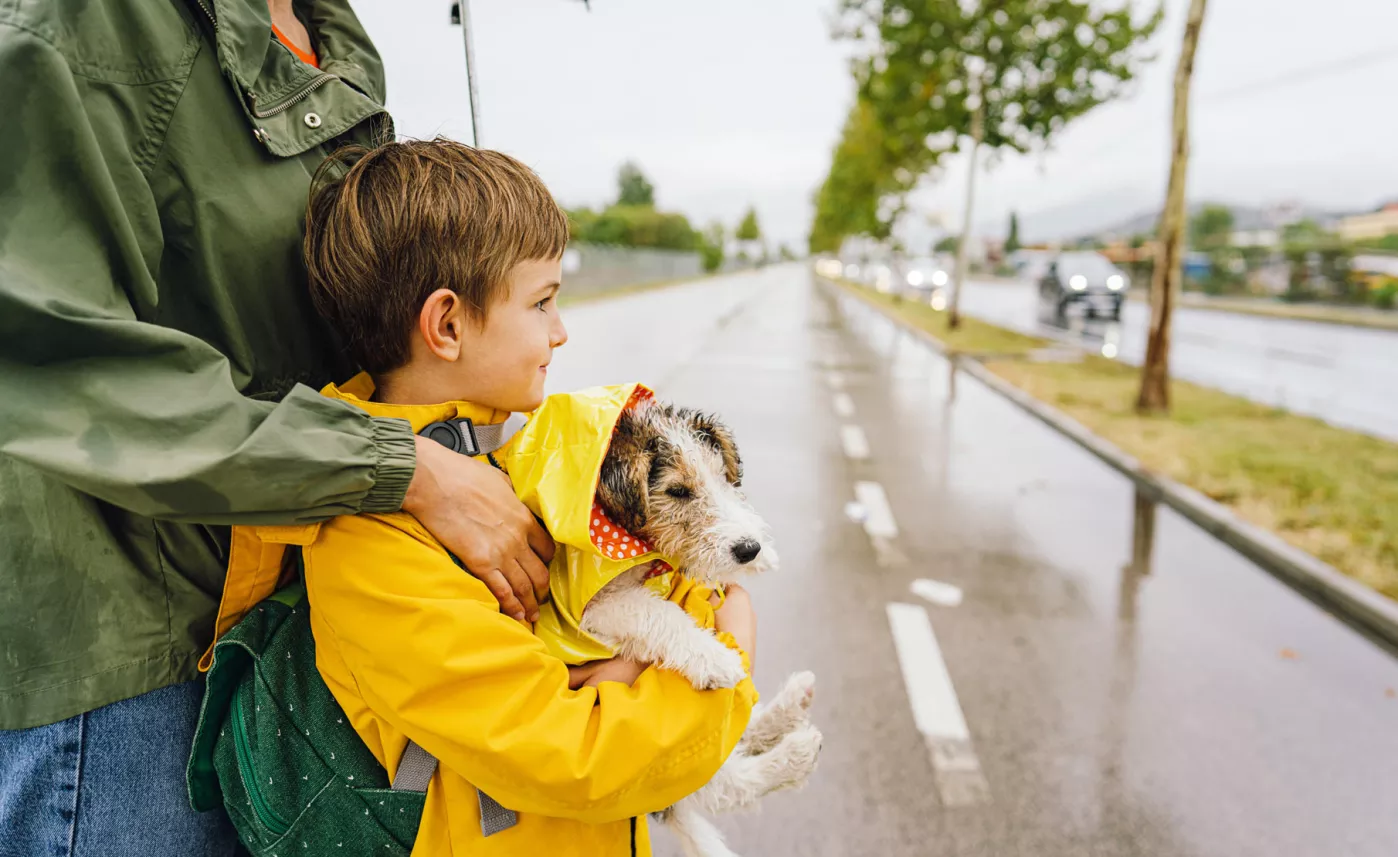  Young boy holding his dog and walking to school with his Mom
